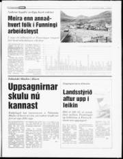 Síða 7