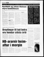 Síða 13