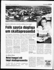 Síða 6