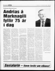 Síða 19