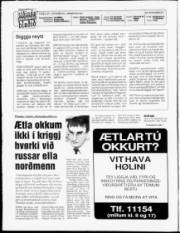 Síða 2