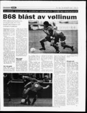 Síða 15