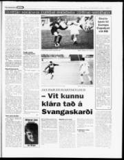 Síða 17