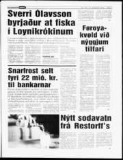 Síða 7