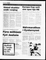 Síða 13