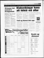 Síða 14