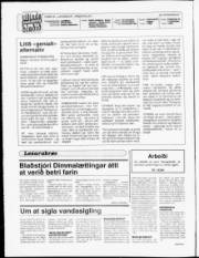 Síða 2