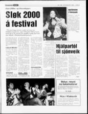 Síða 3