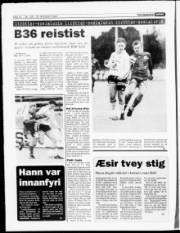 Síða 10
