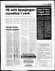 Síða 14