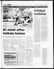 Síða 15