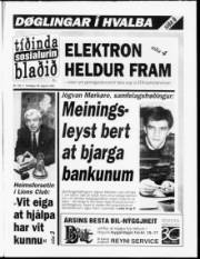 Síða 1