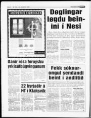 Síða 6
