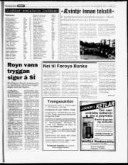 Síða 13