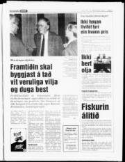 Síða 5