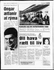 Síða 6