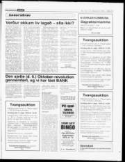 Síða 13