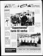 Síða 16