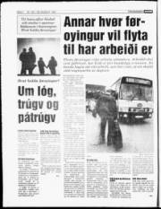 Síða 6