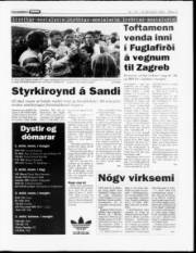 Síða 13
