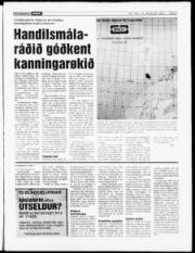 Síða 3