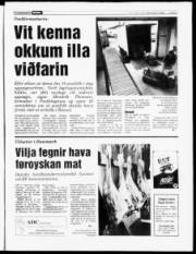 Síða 7