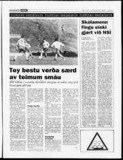 Síða 9