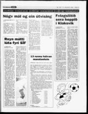 Síða 15