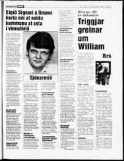 Síða 17