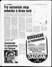 Síða 3