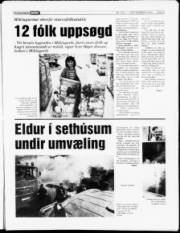 Síða 5