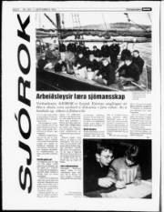 Síða 8