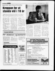 Síða 13