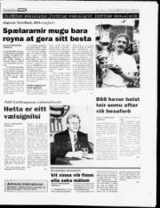 Síða 15