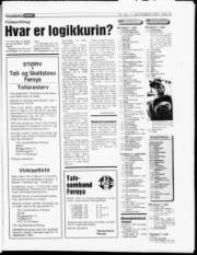 Síða 19