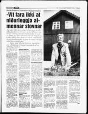 Síða 3