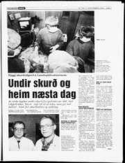 Síða 7