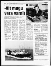 Síða 8