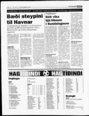 Síða 10