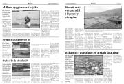 Síða 4