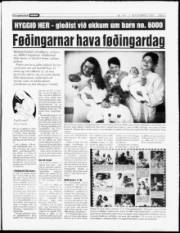 Síða 3