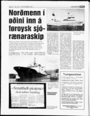 Síða 14