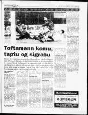 Síða 15