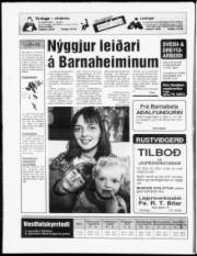 Síða 20