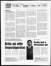 Síða 2