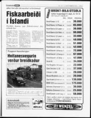 Síða 7