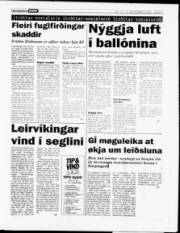 Síða 13