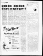 Síða 17