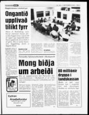Síða 3