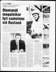 Síða 7